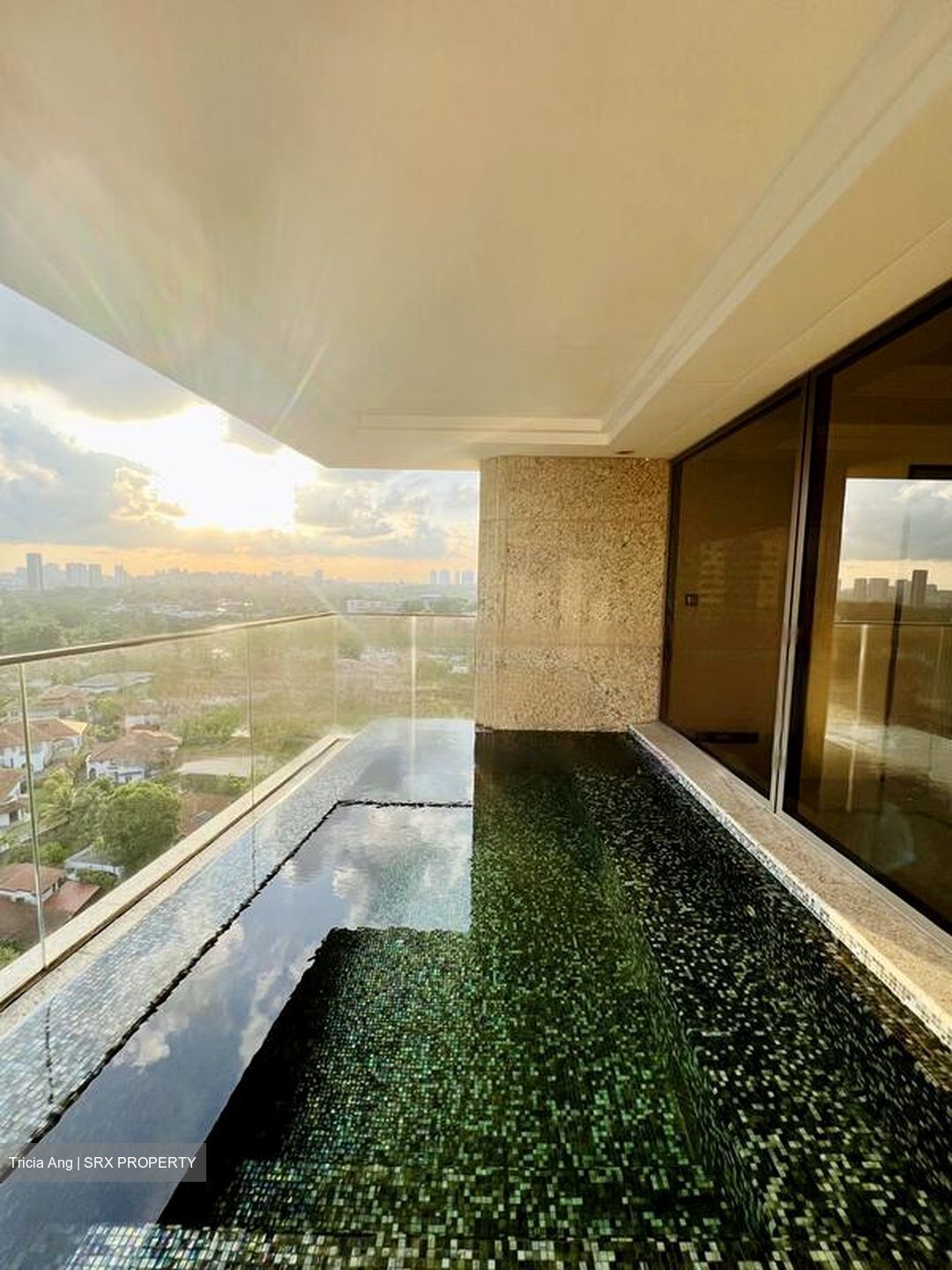 Parkview Eclat (D10), Condominium #445094921